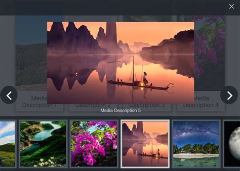 Video gallery .